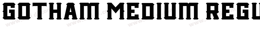Gotham Medium Regul字体转换